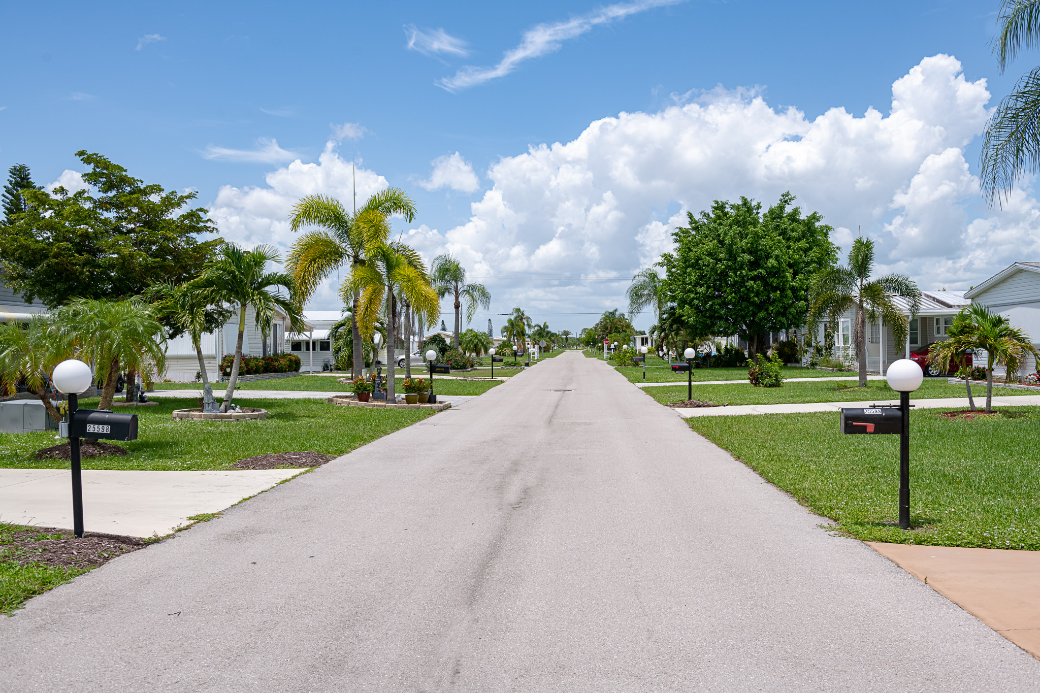 Paved street surrounded by manufactured homes at Bonita Terra in Bonita Springs FL